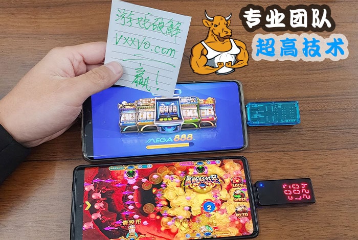 手机在线赌网破解